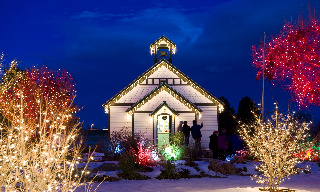 Colorado Outdoor Christmas Lighting - Denver Botanic Gardens Blossoms of Light