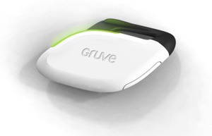 Gruve Total Body Motion Device