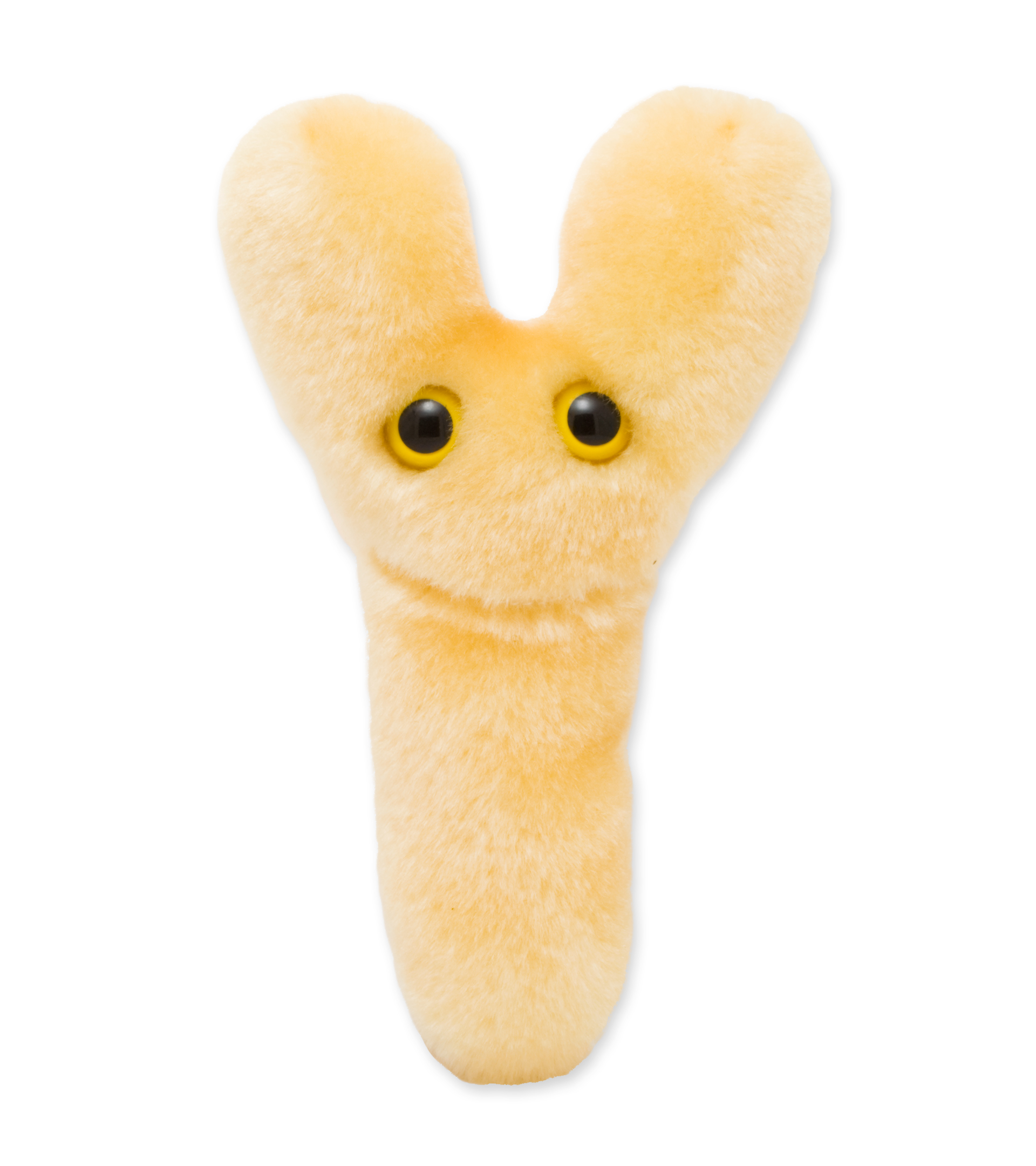 giantmicrobes