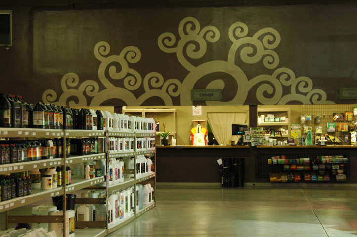 Medical Marijuana Superstore Will Help Michigan Patients Grow Their Own Medicine After Court Ruling Closes Dispensaries