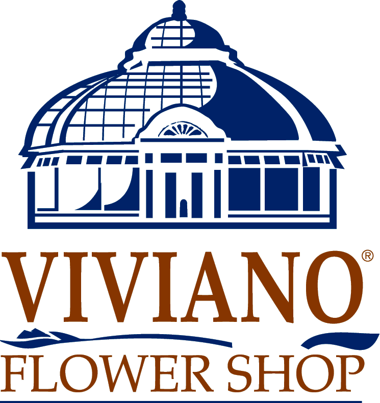 Viviano Logo