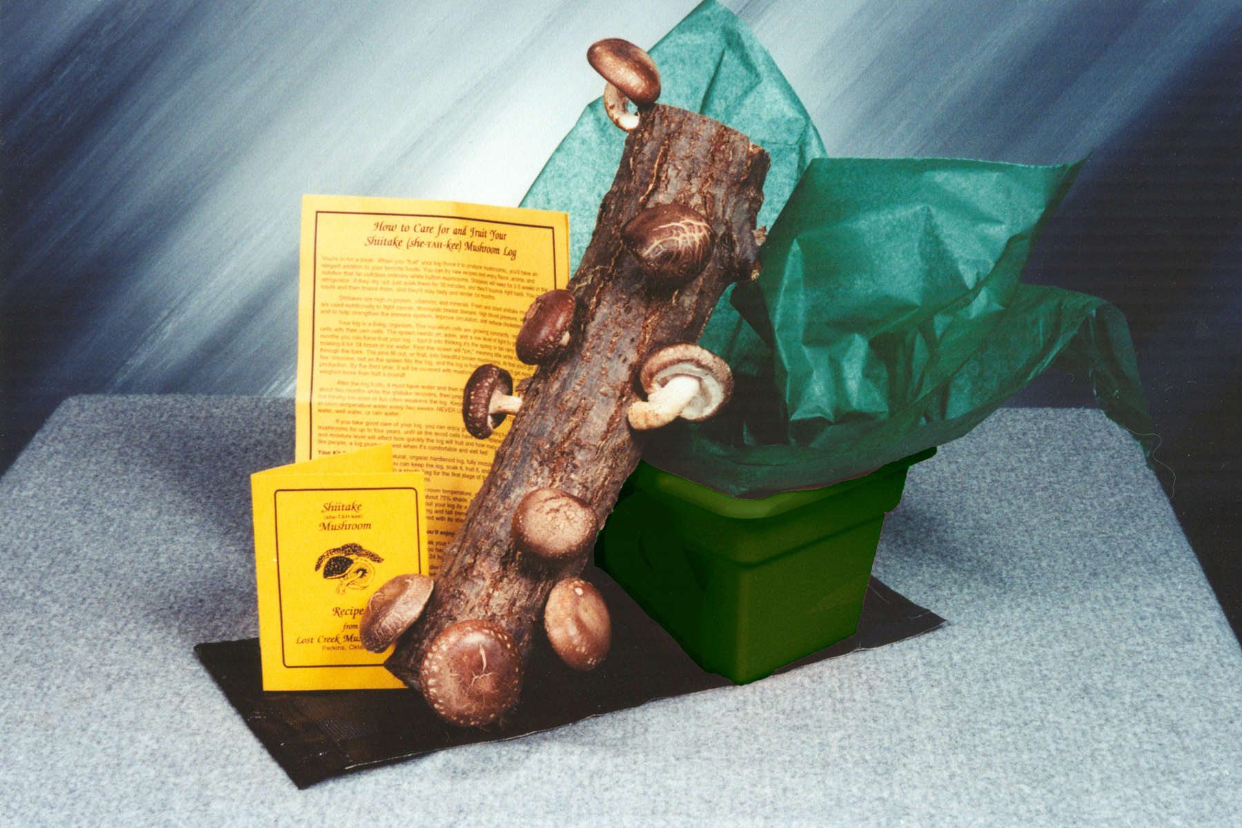 Shiitake Mushroom Log Kit with its own Tray for Soaking, Fruiting and Resting the Log