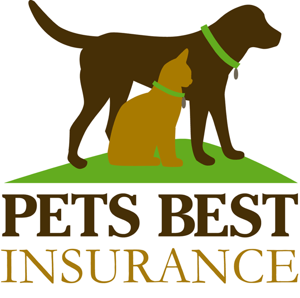 most costly pet insurance claims