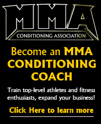 MMA Training, Certification and Business Coaching