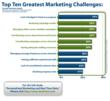 Top Ten Marketing Challenges, per Intelisent/The Relevancy Group Study