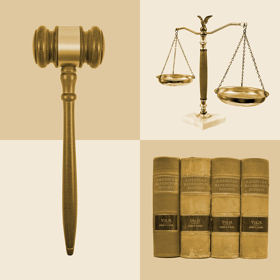 Legal Law Justice