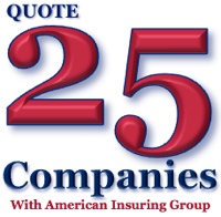 Quoting over 25 competing companies to offer you the best insurance value