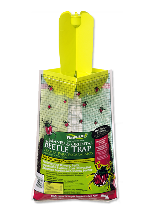 Japanese and Oriental Beetle Trap