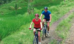 Cycling through the Balinese rice terraces