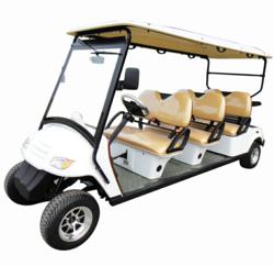 CitEcar 6 Person Street-Legal Golf Cart