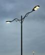 Whale LED Street Lamp