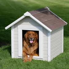 How to Build a Dog House Plans are Now Available for PDF ...