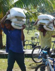 Alliance for Global Food Security Releases Report on ...