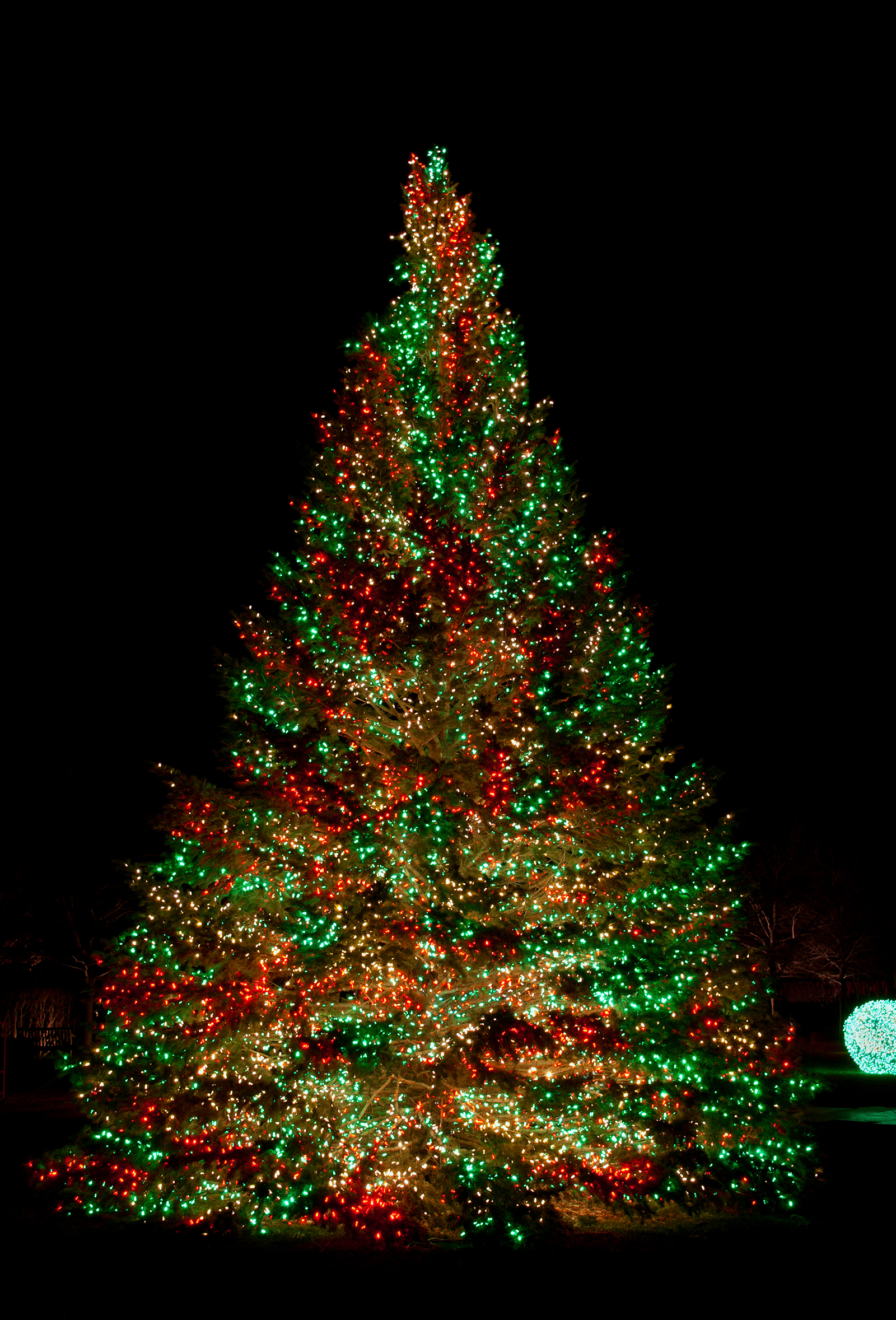 Christmas Tree Star Light 2021