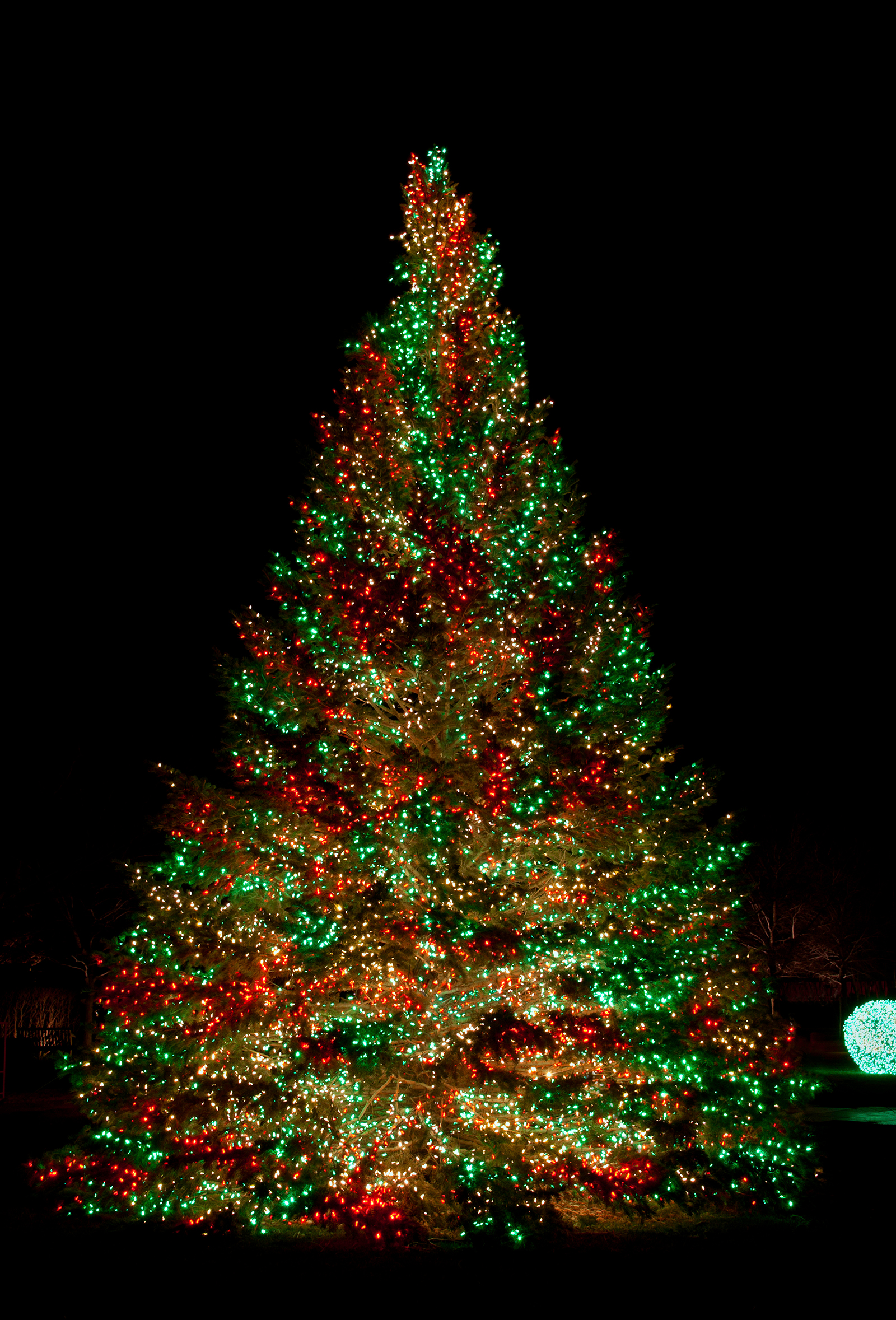 large white christmas lights