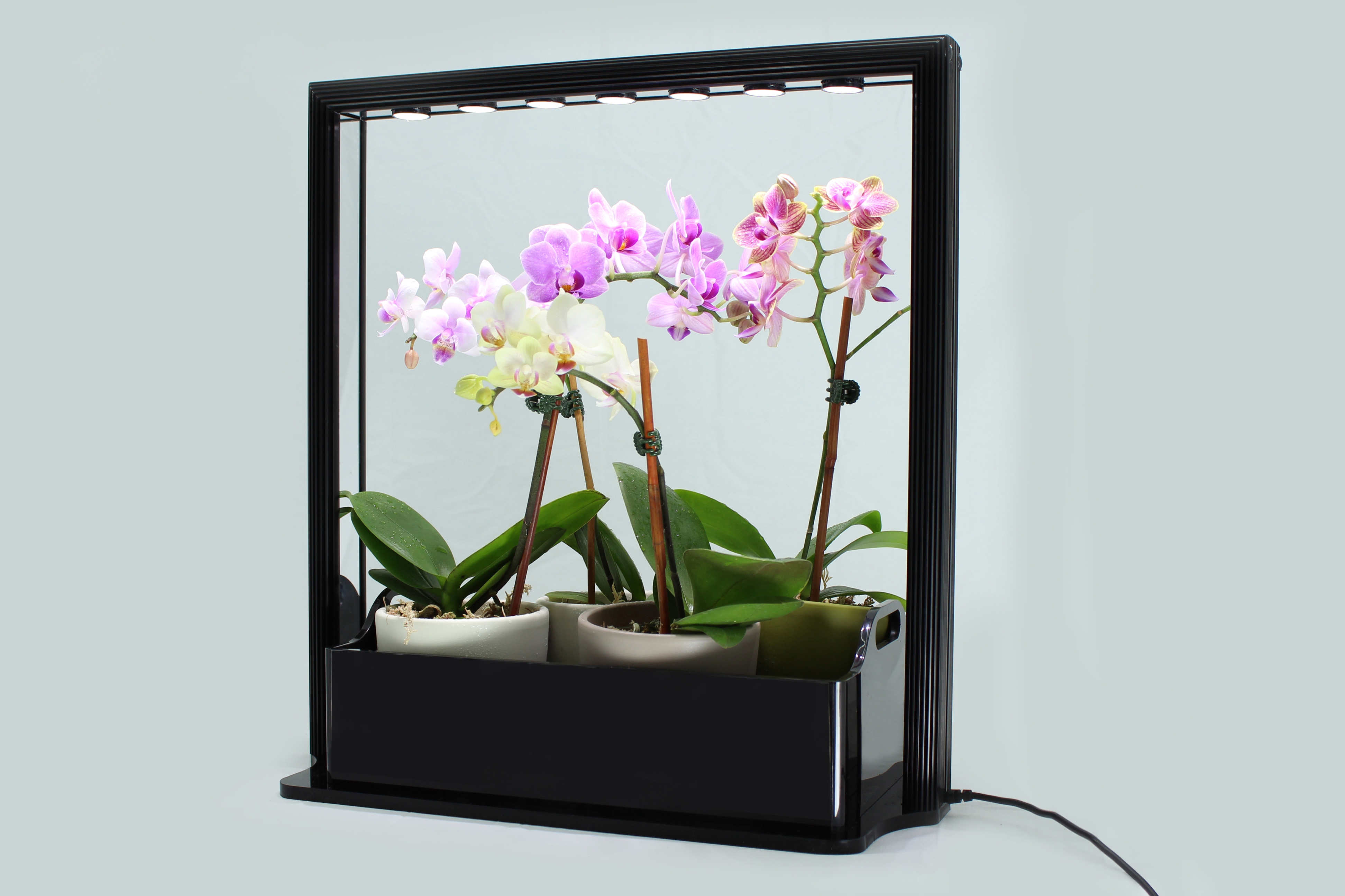 New LED Mini Garden from InHomeGardening.com is a Great ...