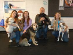 Andrea-Arden-Dog-Training-Staff-Members