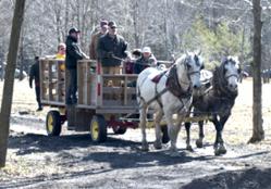Photo of The Maple Madness Driving Tour stop at Bissell Maple Farm offers free pancakes, horse-drawn wagon tours of the maple farm and entertainment
