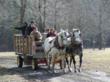 Bissell Maple Farm's Maple Madness Tour includes free horse-drawn wagon tours, food and entertainment - photo of ride