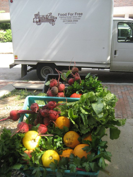Food For Free Truck and Fresh Produce for Delivery