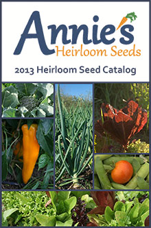 Top 10 Seed Catalogs for the PREPared Gardener - Annie's Heirloom Seeds | Mom with a Prep