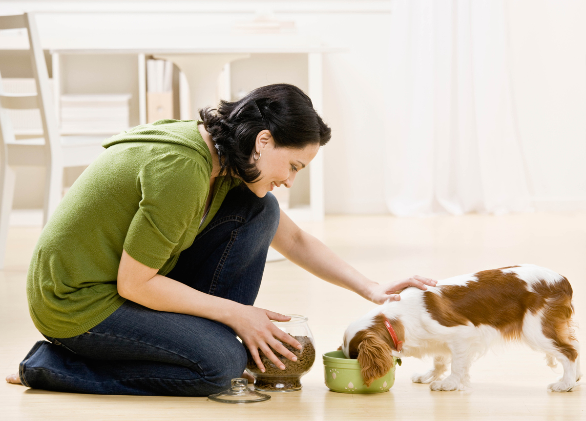 Pet Sitters International Now Accepting Nominations for PetSitting