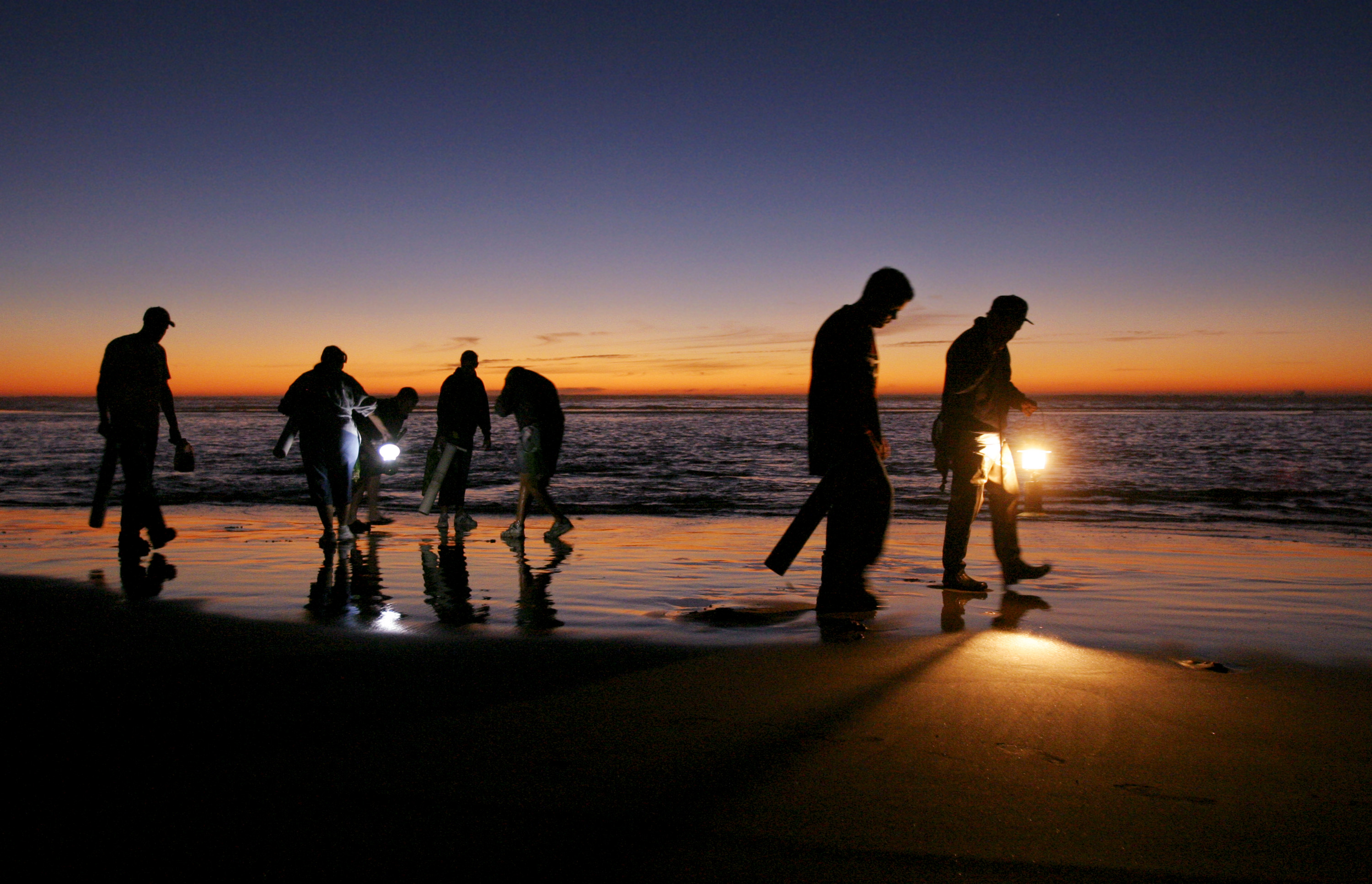 Eager clam diggers with lanterns, clam guns, shovels and buckets in hand search for telling signs of clams at dusk on Washington's Long Beach Peninsula.
