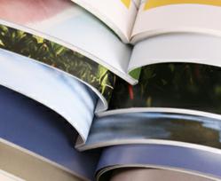 Print Brochures Stand Out in A Digital World
