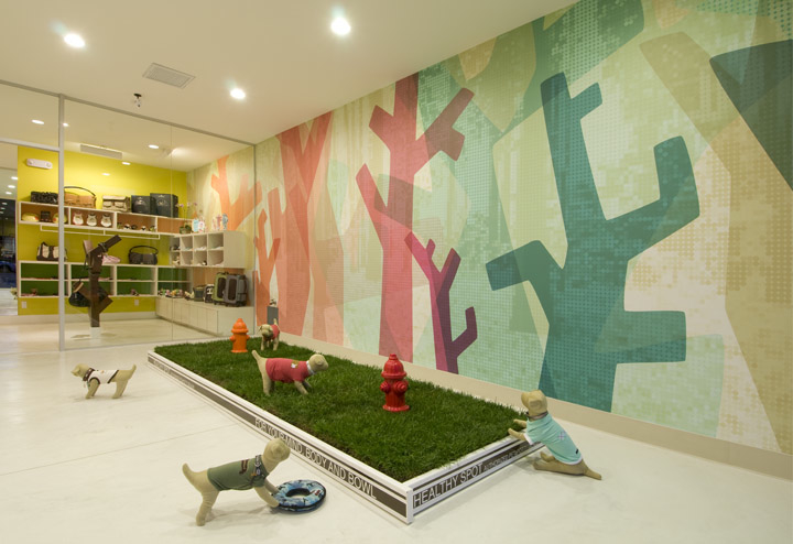 Healthy Spot Small Dog Doggie Daycare