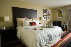Crowne Plaza New Orleans Airport Hotel