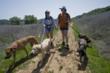 83% of dog owners turn to search engines and websites like Dogtrekker.com to plan their trips.