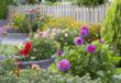 Dahlias create stunning curb appeal with its breathtaking color and blooms