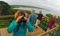 Birding Panama Canopy Tower Bocas