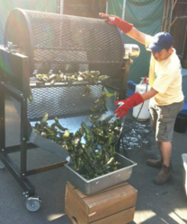 Fire-roasting Hatch green chile with a traditional roaste