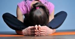 Yoga, Pilates, Meditation, and Tai Chi at Phenix Yoga (Sherbrooke)