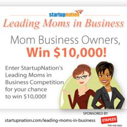 StartupNation's 2013 Leading Moms in Business Competition