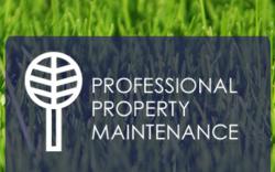 Professional Property Maintenance
