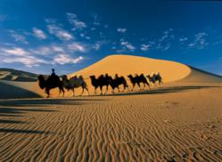 Camel Riding in Xinjiang