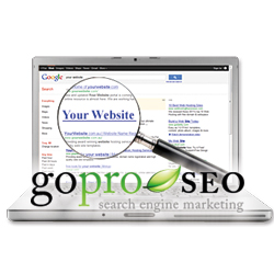 GoProSEO Top of Google Website Rankings