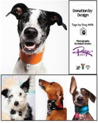 Some of the Pet ID Tags from BlanketID.com's Design by Donation Program