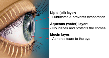 Turner Eye Institute Introduces New Treatment for Evaporative Dry Eye ...