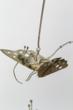 James Turnbull (American, 1909-1976), Kinetic Sculpture with Butterfly and Flowers, bronze with wooden base.