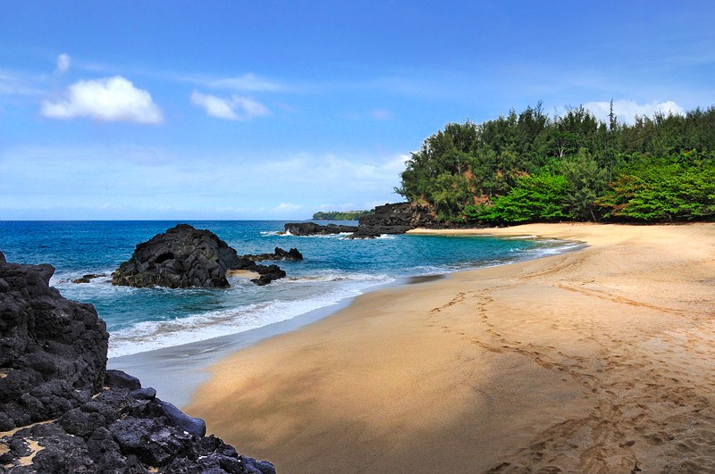 Stay Safe on Kauai Beaches with Complimentary Parrish Kauai Beach Explorer