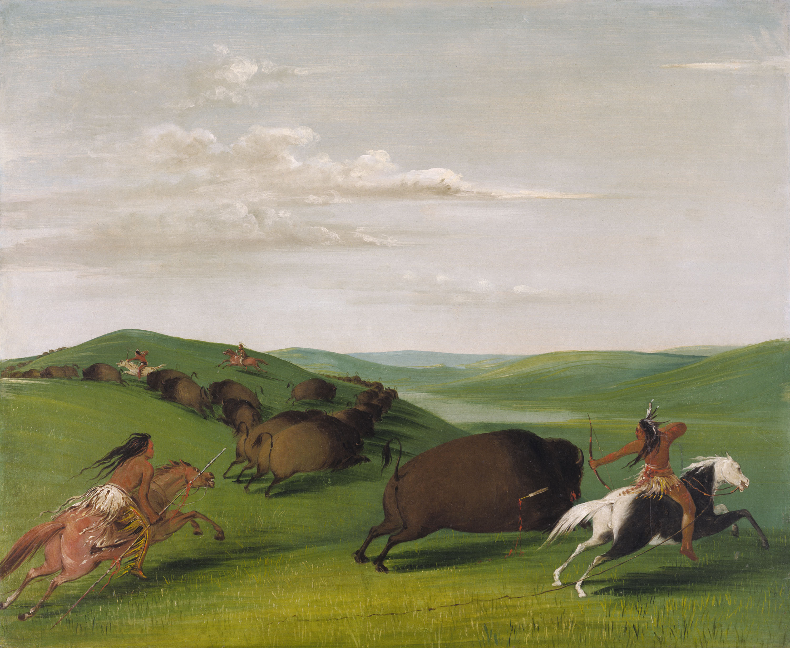 George Catlin’s American Buffalo Exhibition Debuts at National Museum ...