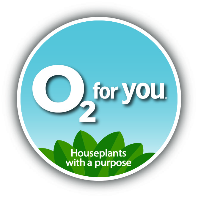 During National Indoor Plant Week and throughout the month of September, look for varieties such as peace lilies, ferns and spider plants with ‘O2 for You’ plant tags at your local retailer and reap the benefits of these hard working plants.