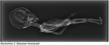 Atacama Humanoid Horizontal X-Ray