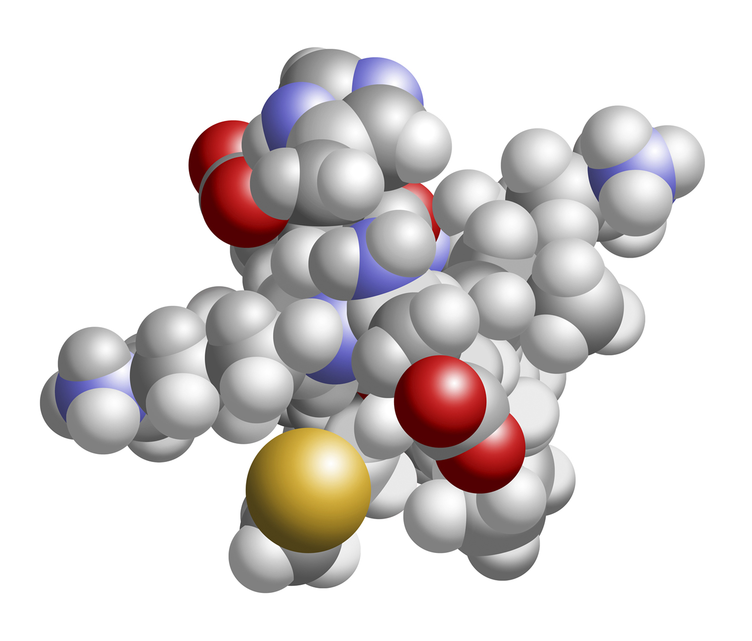 Lunasin molecule