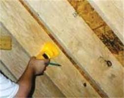 Inspect Your Attic For Roof Leaks From Florida Summer Rain Storms