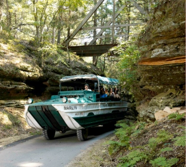 WI Ducks in Red Bird Gorge