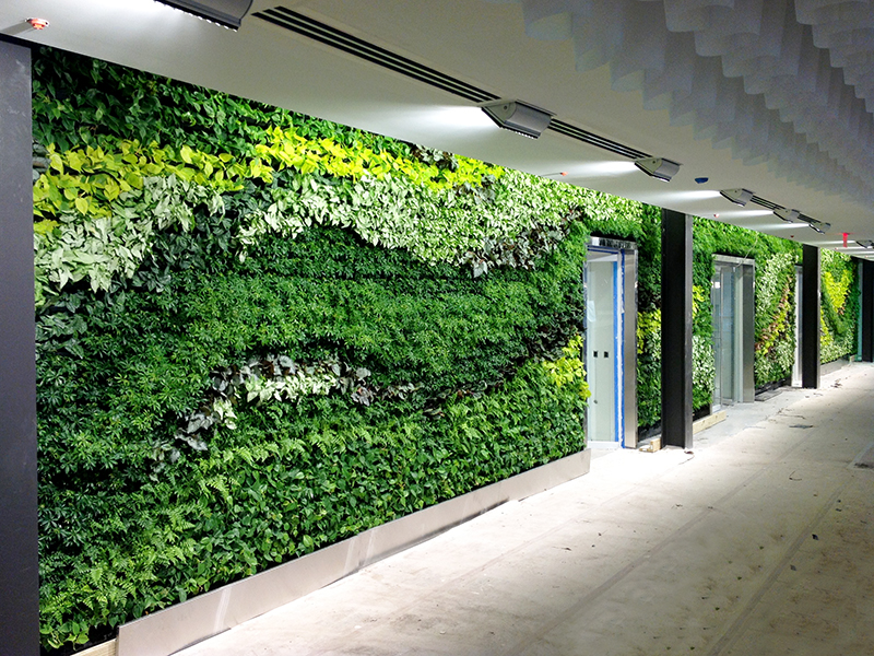 Gsky Installs Massive Green Wall In Atlanta Area Office Of Prominent Auto Finance Company - Living Plant Wall Revit